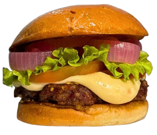 Burger Salada